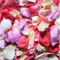 High Tea 4 Cups Freeze Dried Rose Petals
